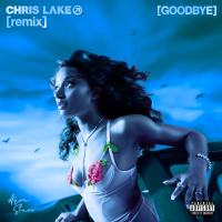 Goodbye (Warm Up) (Chris Lake Remix) (Single)