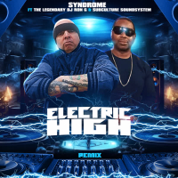 Electric High Remix (Single)
