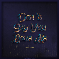 Don't Say You Love Me (Single)