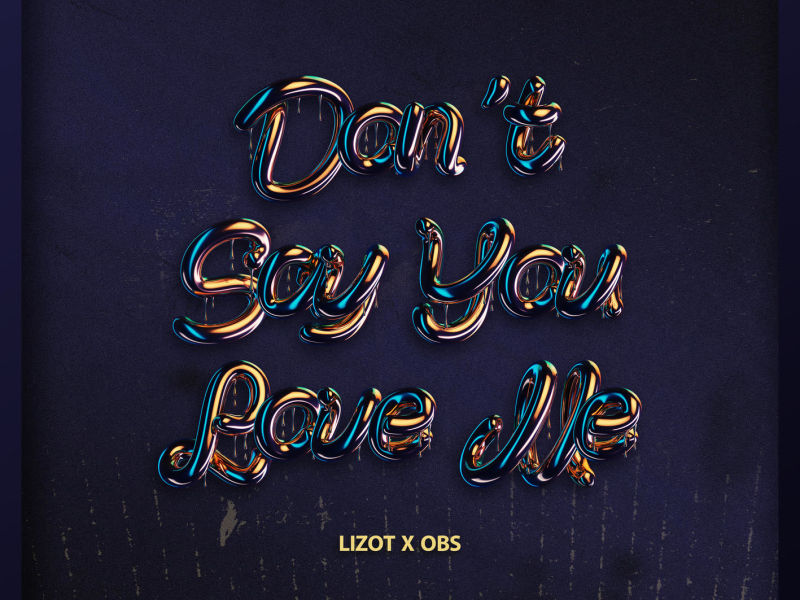 Don't Say You Love Me (Single)