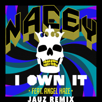 I Own It (Jauz Remix) (Single)