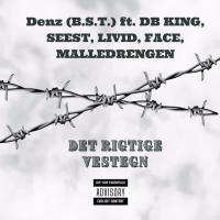 Det rigtige vestegn (Single)