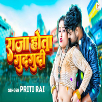 Raja Hota Gudgudi (Single)