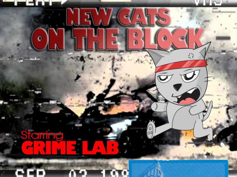New Cats on the Block (Single)