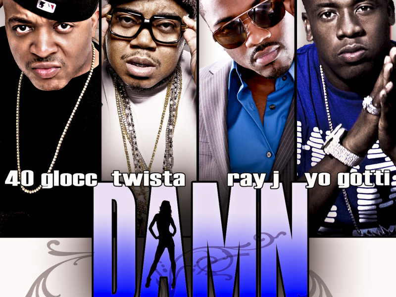 Damn (Remix) [feat. Ray J, Twista and Gotti] - Single