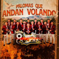 Palomas Que Andan Volando (Single)