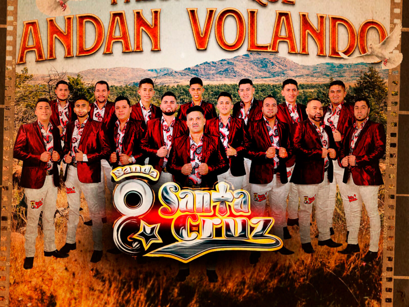 Palomas Que Andan Volando (Single)