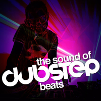 The Sound of Dubstep Beats