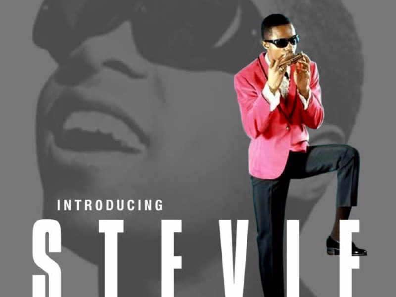 Introducing...Stevie