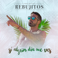 Si Algún Día Me Ves (Single)