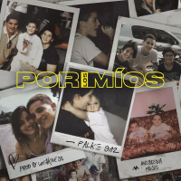 Por los Mios (Single)