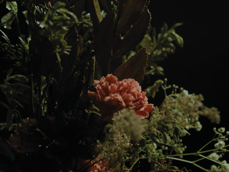 Nadie Podría Hacerlo (Single)