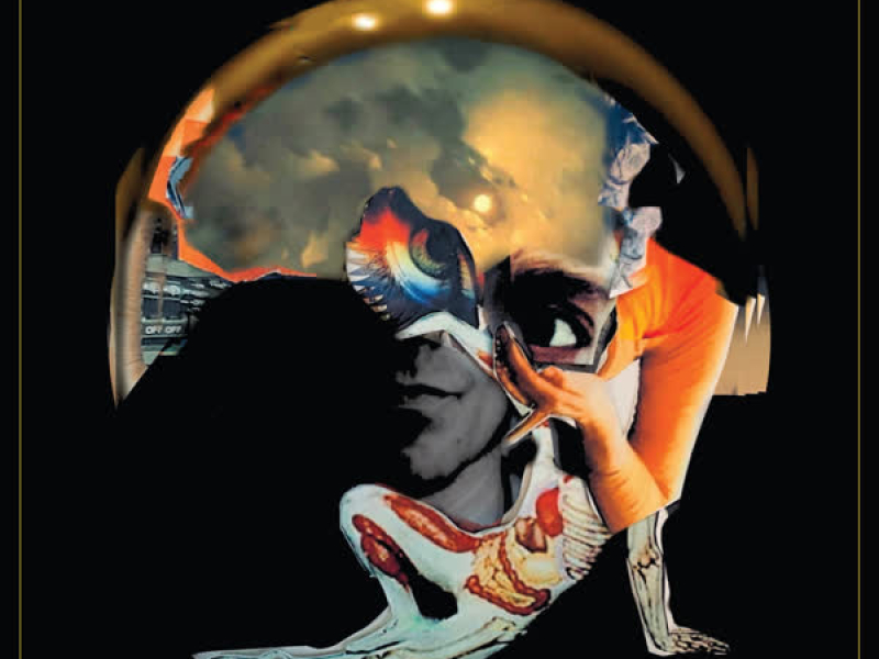 Out of the Light into the Night