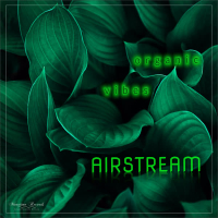 organic vibes (electrocussion mix) (Single)