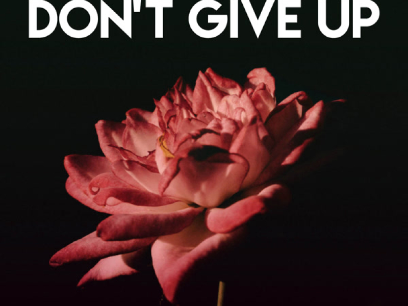 Don't Give Up (Single)