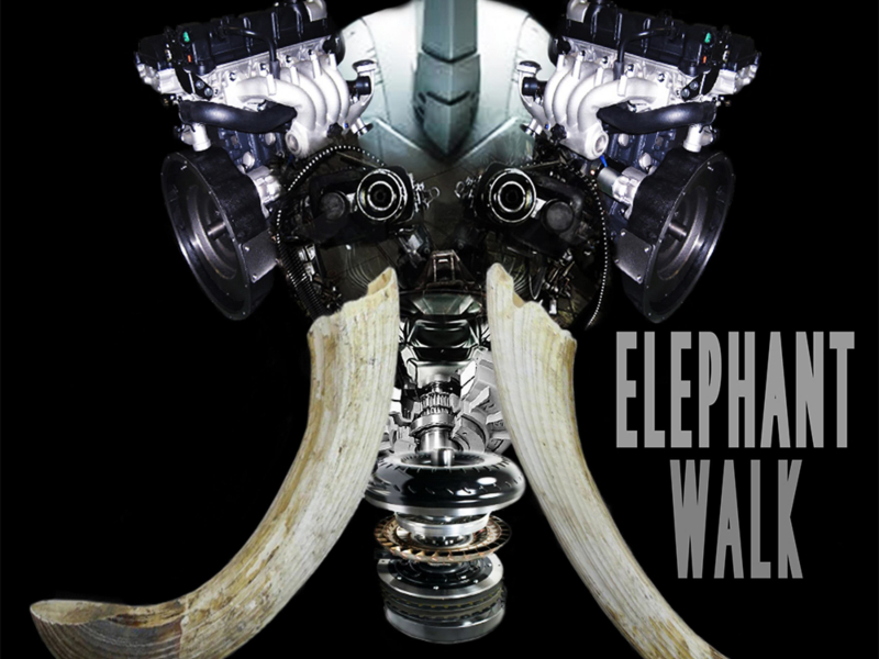 ELEPHANT WALK (Single)