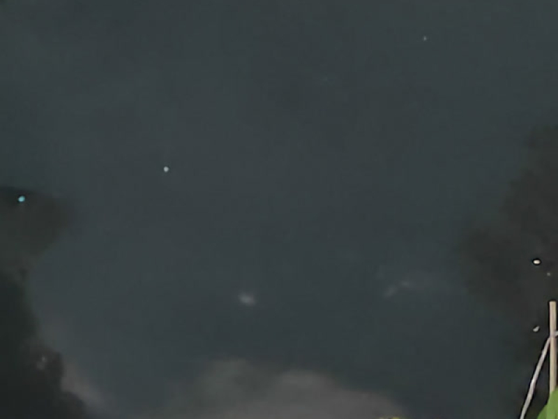 Struggle (Remastered 2025) (Single)