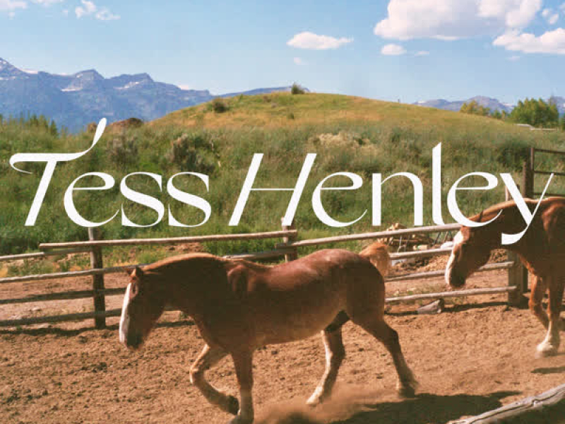 Nothing More to Say (Acoustic) (Single)