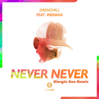 Never Never (Giorgio Gee Remix) (EP)