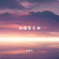 玫瑰等花期 (Single)