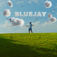 Bluejay (Single)