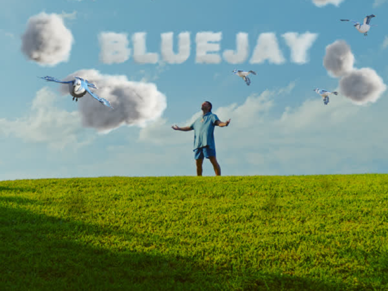 Bluejay (Single)