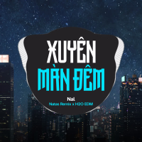 Xuyên Màn Đêm (EDM) (Single)