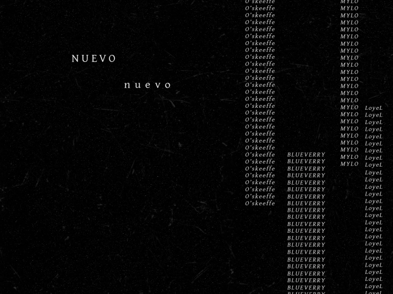 NUEVO - n u e v o