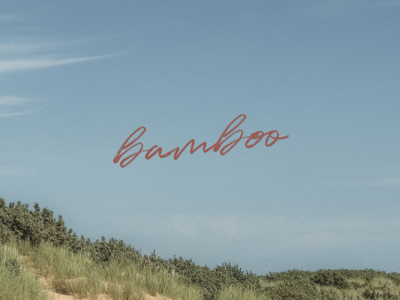 Bamboo (Single)