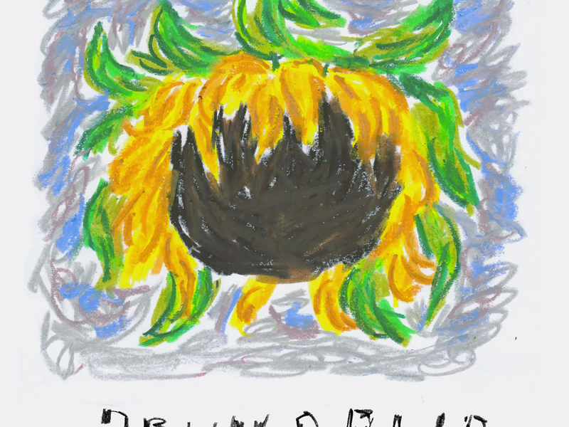 Brun og blid (Single)