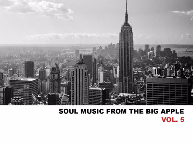 Soul Music from the Big Apple, Vol. 5