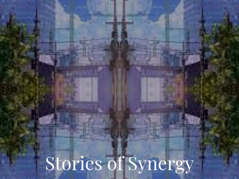 Stories of Synergy