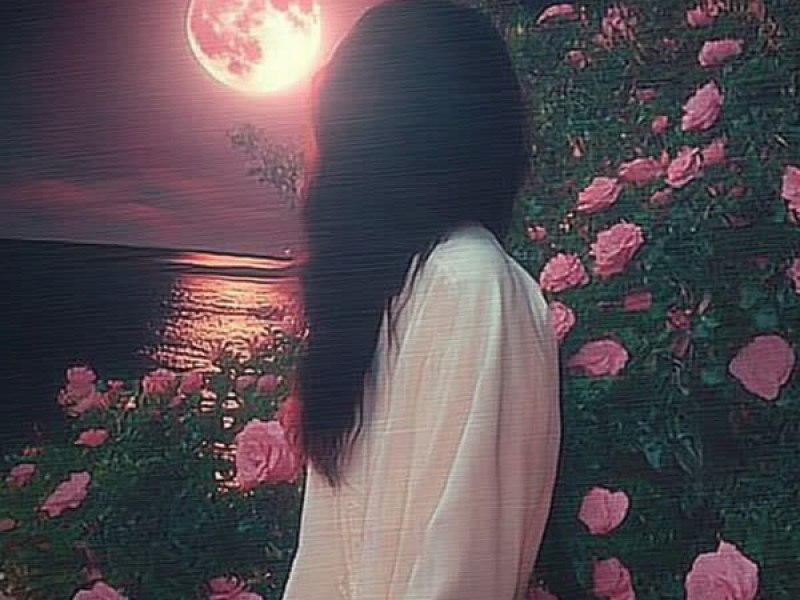 Woh Lambe Lo-Fi (Single)