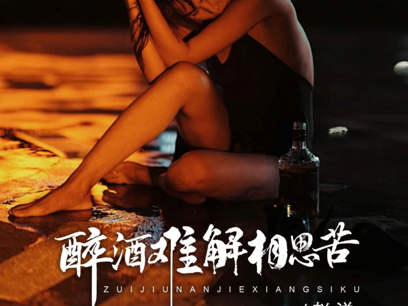 醉酒难解相思苦 (吉特巴版) (Single)