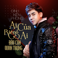 Ai Của Riêng Ai, Đâu Còn Quan Trọng (Single)