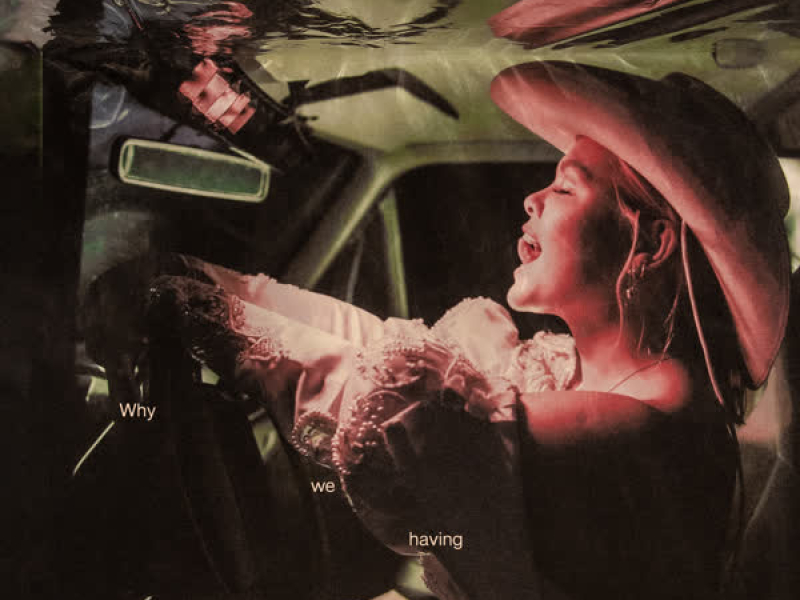 WHY AREN'T WE HAVING SEX? (Single)