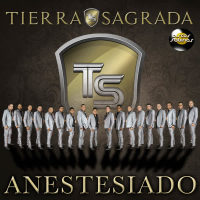 Anestesiado (Single)