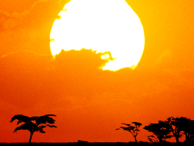 Can You Feel the Love Tonight