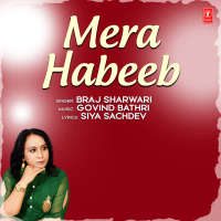 Mera Habeeb (Single)