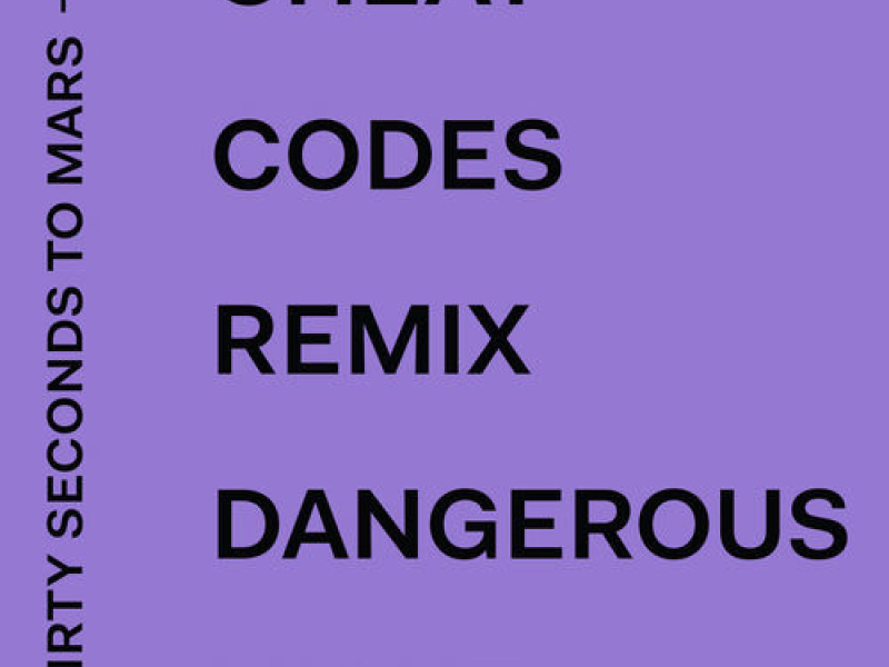 Dangerous Night (Cheat Codes Remix)