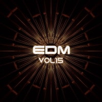 EDM, Vol.15