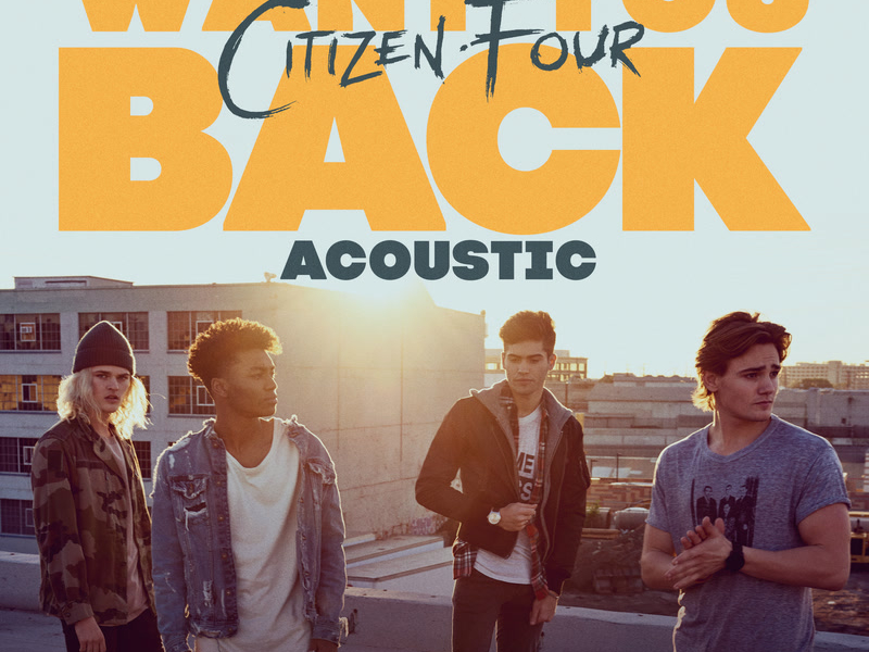 Want You Back (Acoustic) (Single)