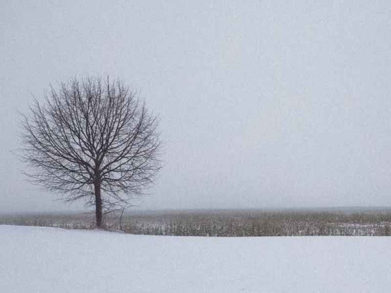 My Song Remake Project Vol. 5 (Single)