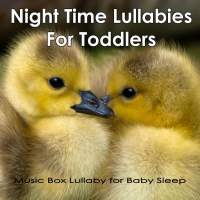 Night Time Lullabies For Toddlers: Music Box Lullaby for Baby Sleep (Single)