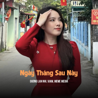 Ngày Tháng Sau Này (Remix & Lofi) (EP)