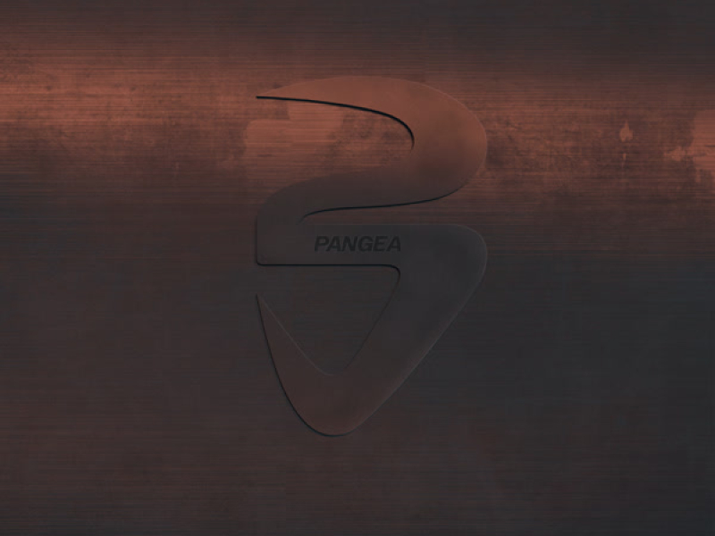 C'EST PANGEA (Single)