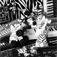 Zebratronic (Single)