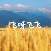 飞呀飞飞 (Single)