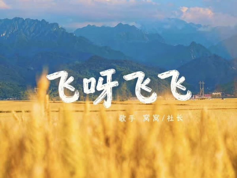 飞呀飞飞 (Single)