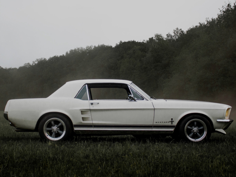 White Mustang (Single)